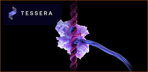 Hanwha Impact Invests in Gene Writing™ Pioneer Tessera Therapeutics to Drive the Future of Genetic Medicine