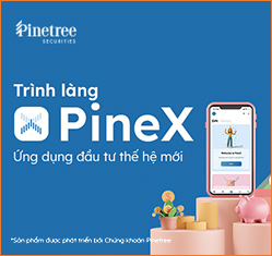 Pinetree 证券公司